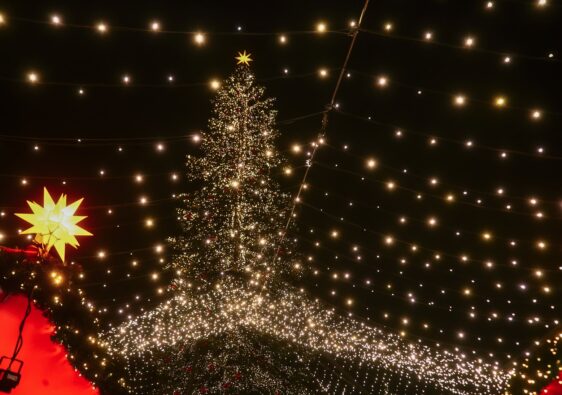 Weihnachtsmarkt am Dom Köln - Weihnachtsbaum und Lichter