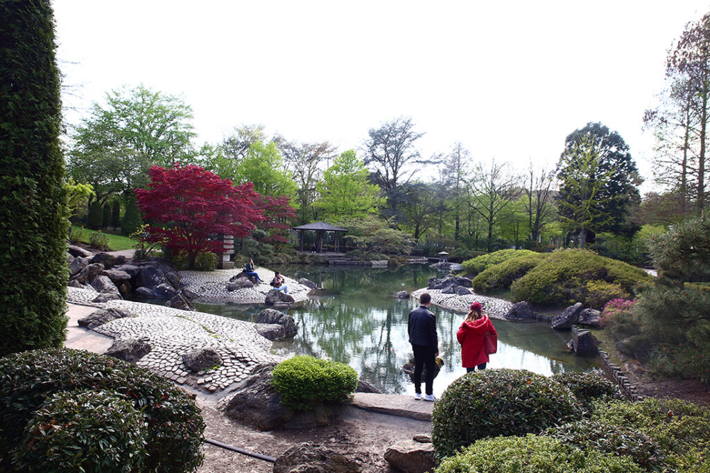 Bonn Rheinaue - Japanischer Garten
